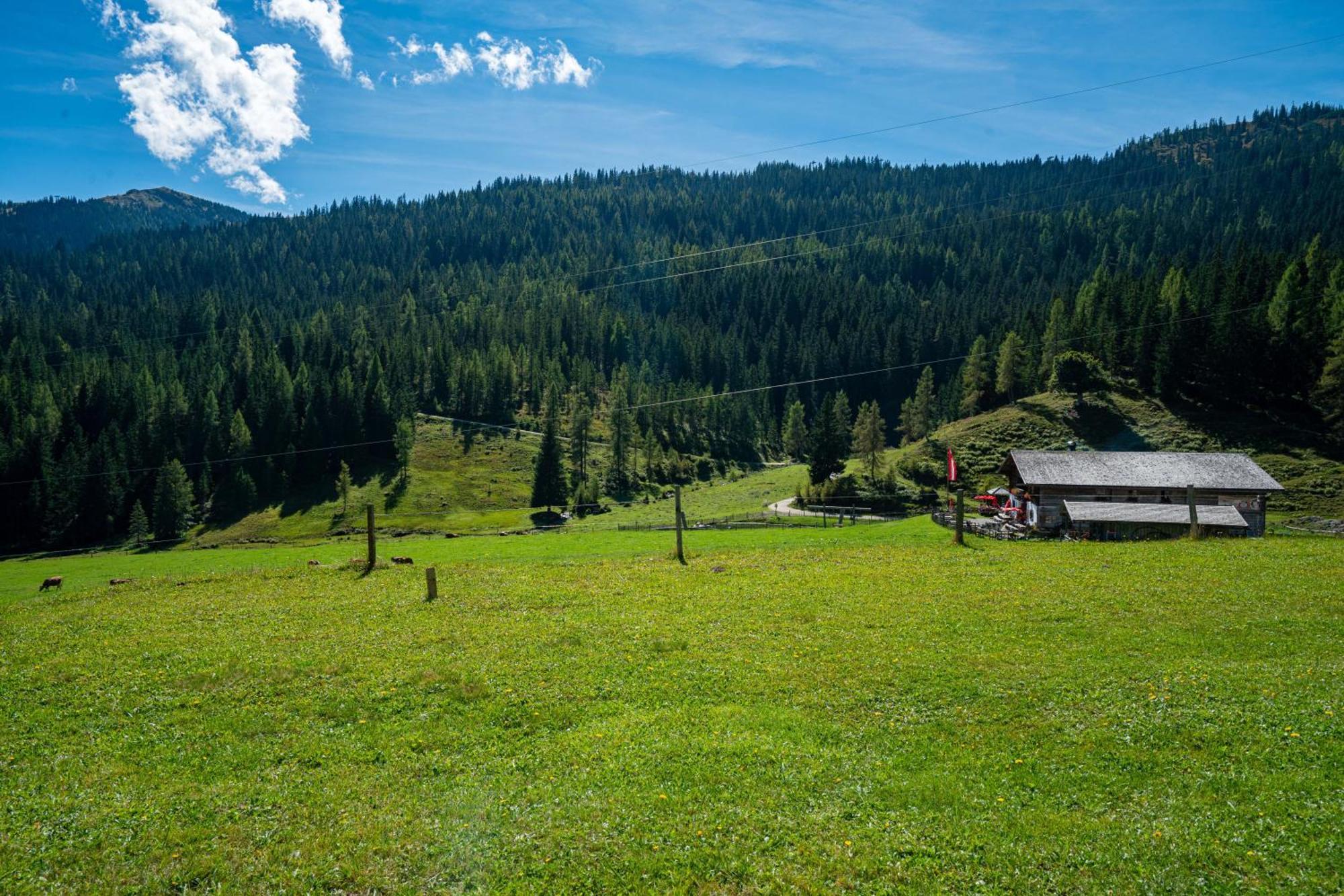 Mittereggalm Hotell Mühlbach am Hochkönig Eksteriør bilde